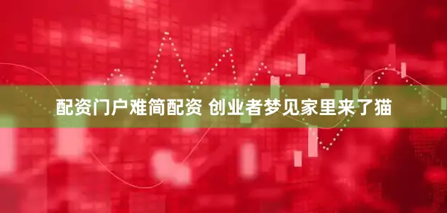 配资门户难简配资 创业者梦见家里来了猫