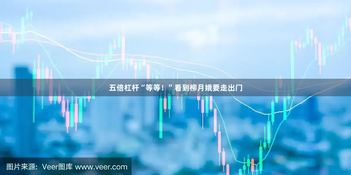 五倍杠杆“等等！”看到柳月娥要走出门