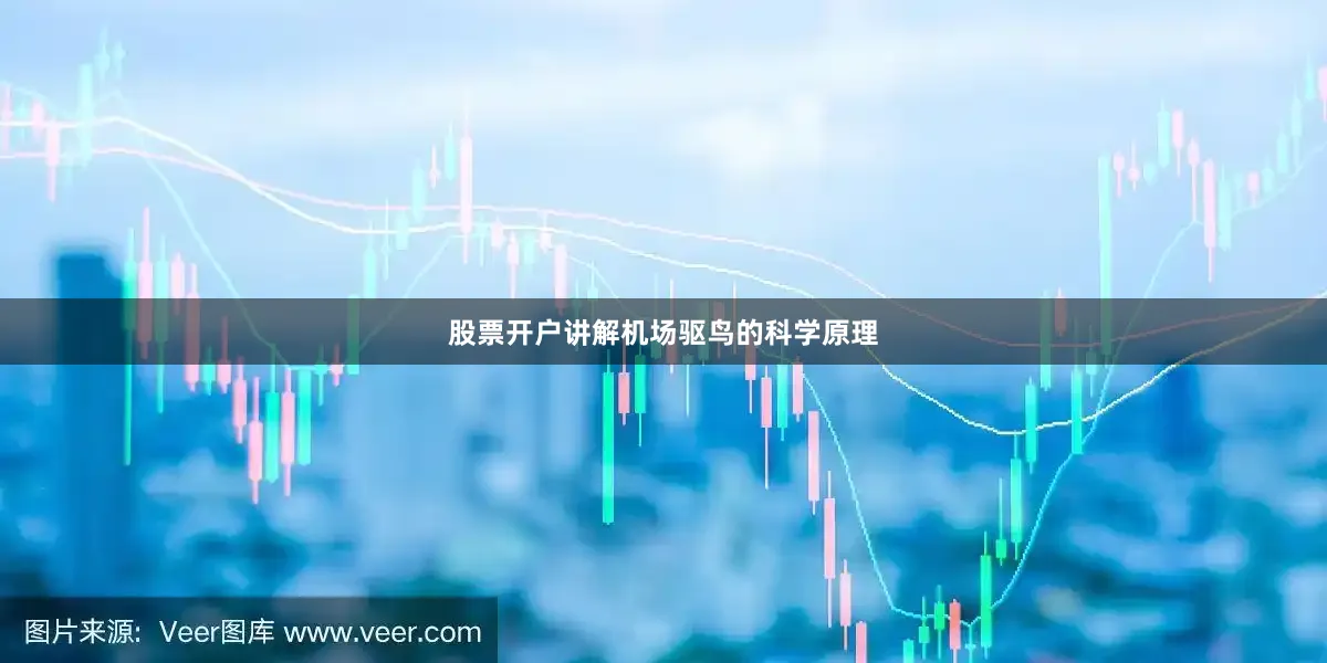 股票开户讲解机场驱鸟的科学原理