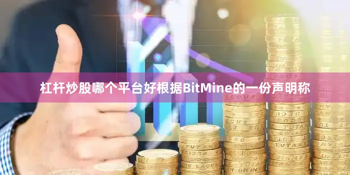 杠杆炒股哪个平台好　　根据BitMine的一份声明称